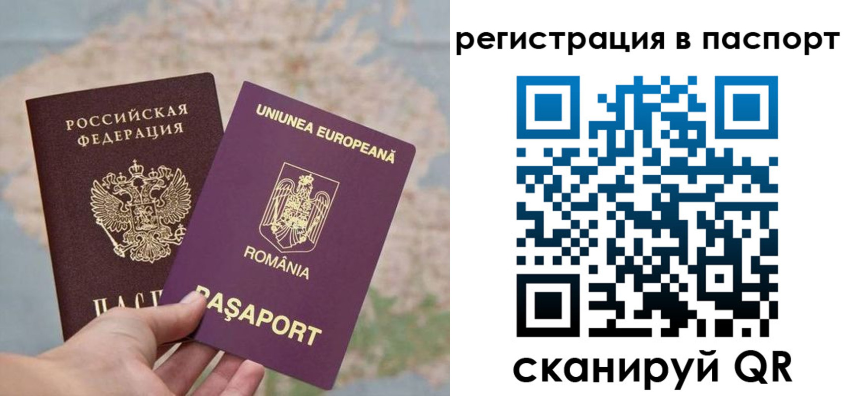 временная регистрация гарантия в Ставрополе
